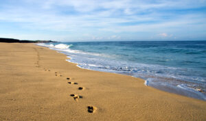 Baja Mexico Yoga Retreat