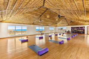 Revelstoke Retreats Mexico