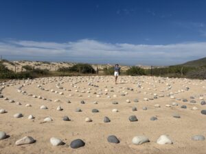 Woman with her arms out looking at the camera having just walked through a labrinth