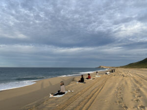people spread out along the beach looking out into the Pacific ocean